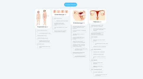 Mind Map: Fra pige til kvinde