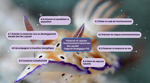 Mind Map: Préserver et valoriser l'environnement naturel des îles Loyauté (Objectif stratégique n°6)