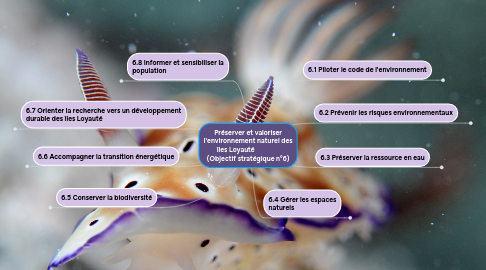 Mind Map: Préserver et valoriser l'environnement naturel des îles Loyauté                (Objectif stratégique n°6)