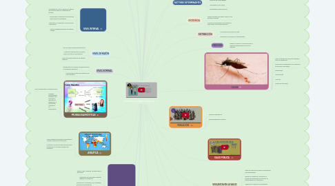 Mind Map: términos epidemiológicos