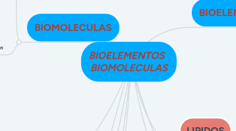 Mind Map: BIOELEMENTOS BIOMOLECULAS