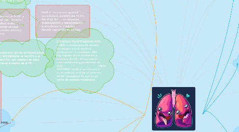 Mind Map: respuestas y adaptaciones pulmonares al ejercicio