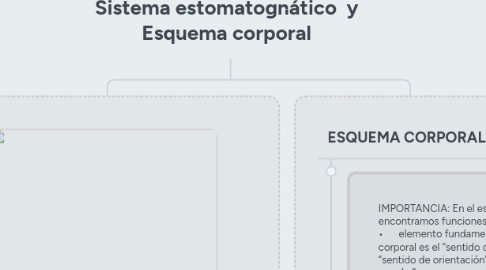 Mind Map: Sistema estomatognático y Esquema corporal