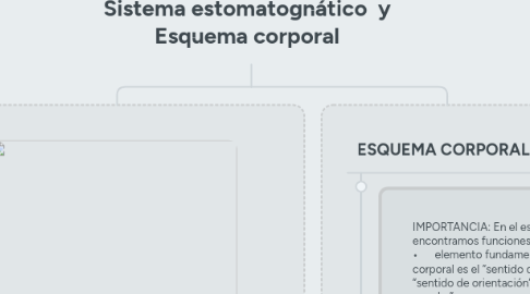 Mind Map: Sistema estomatognático  y Esquema corporal