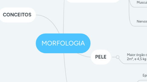 Mind Map: MORFOLOGIA