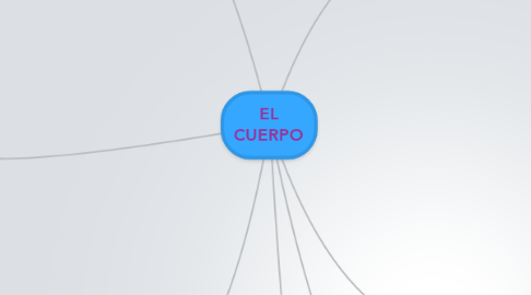 Mind Map: EL CUERPO