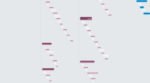 Mind Map: SISTEMA DE GESTIÓN DE RELACIÓN CON LOS CLIENTES
