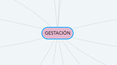 Mind Map: GESTACIÓN