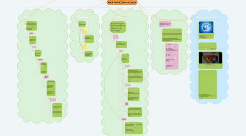 Mind Map: PROCESOS COGNOSCITIVOS