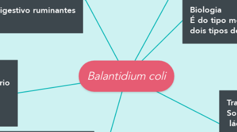 Mind Map: Balantidium coli