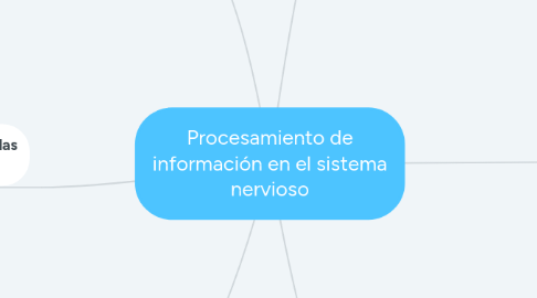 Mind Map: Procesamiento de información en el sistema nervioso