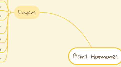 Mind Map: Plant Hormones