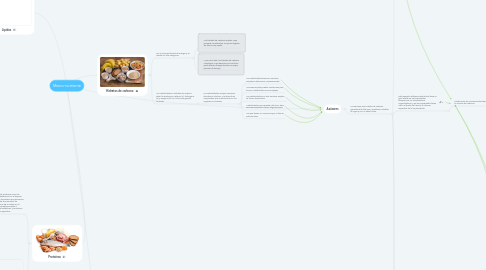 Mind Map: Macro-nutriente