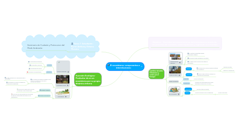 Mind Map: El ecosistema: componentes e interrelaciones: