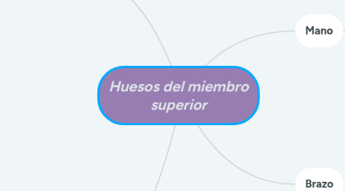 Mind Map: Huesos del miembro superior