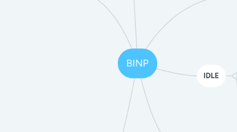 Mind Map: BINP