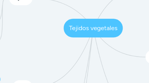 Mind Map: Tejidos vegetales