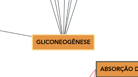 Mind Map: GLICONEOGÊNESE