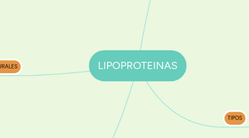 Mind Map: LIPOPROTEINAS