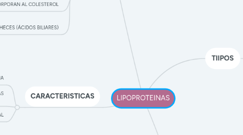 Mind Map: LIPOPROTEINAS