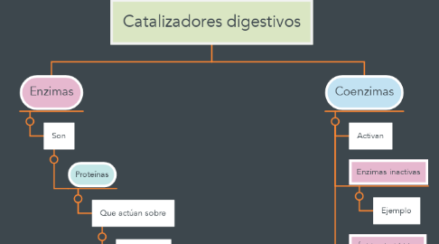 Mind Map: Catalizadores digestivos