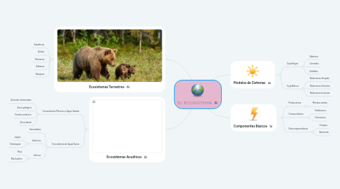 Mind Map: EL ECOSISTEMA