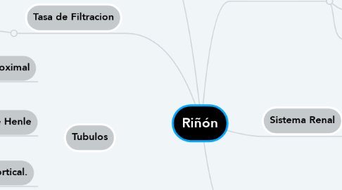 Mind Map: Riñón