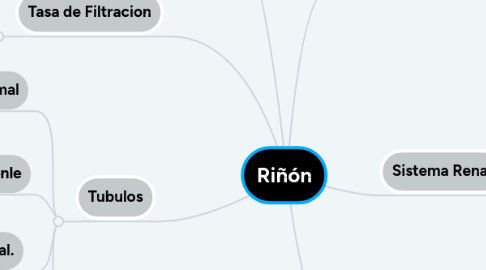 Mind Map: Riñón