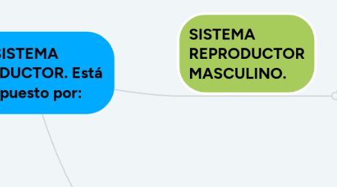 Mind Map: SISTEMA REPRODUCTOR. Está compuesto por: