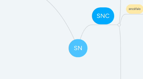 Mind Map: SN