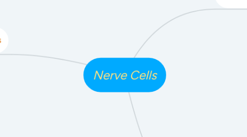 Mind Map: Nerve Cells