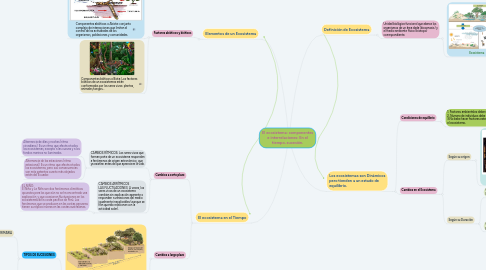 Mind Map: El ecosistema: componentes e interrelaciones: En el tiempo, sucesión.