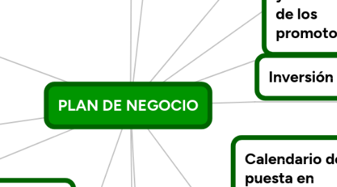 Mind Map: PLAN DE NEGOCIO