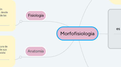 Mind Map: Morfofisiologia