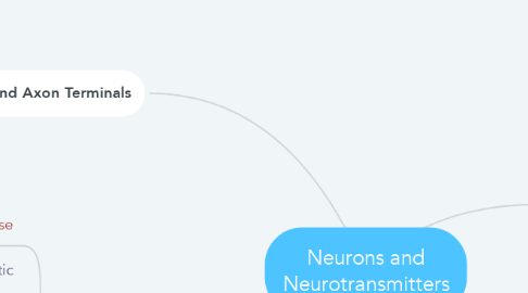 Mind Map: Neurons and Neurotransmitters