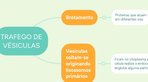 Mind Map: TRAFEGO DE VÉSICULAS