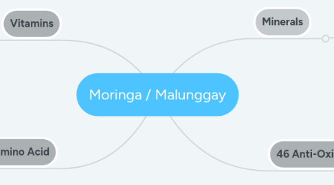 Mind Map: Moringa / Malunggay