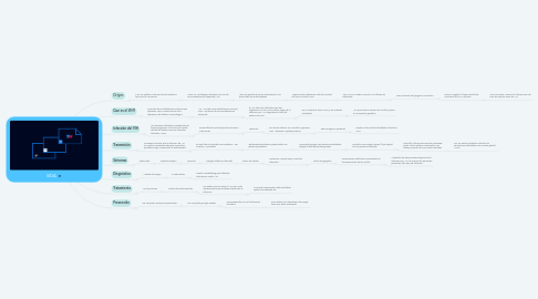 Mind Map: SIDA