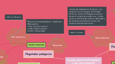 Mind Map: FLAGELADOS PATÓGENOS Y NO PATÓGENOS