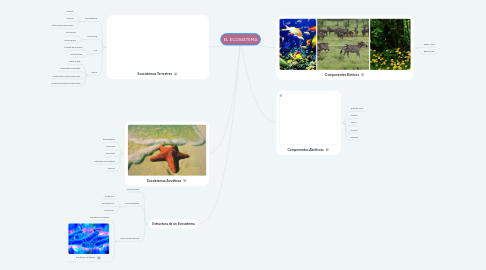 Mind Map: EL ECOSISTEMA