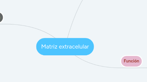 Mind Map: Matriz extracelular