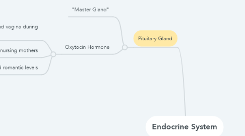 Mind Map: Endocrine System