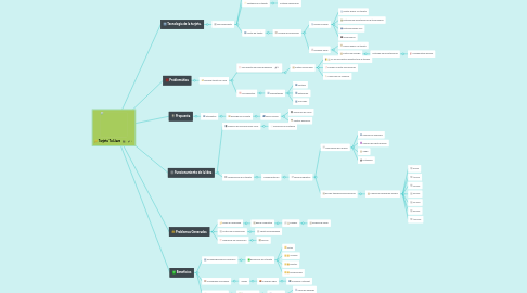 Mind Map: Tarjeta Tu Llave