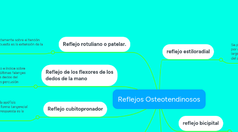 Mind Map: Reflejos Osteotendinosos