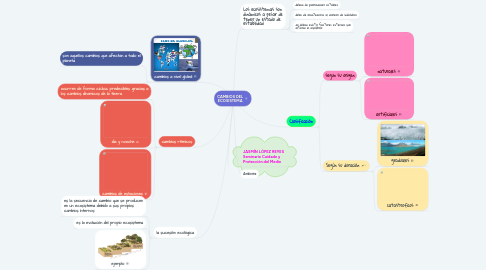 Mind Map: CAMBIOS DEL ECOSISTEMA