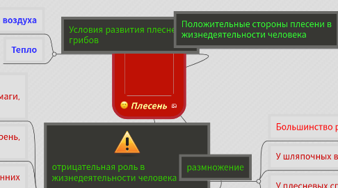 Mind Map: Плесень