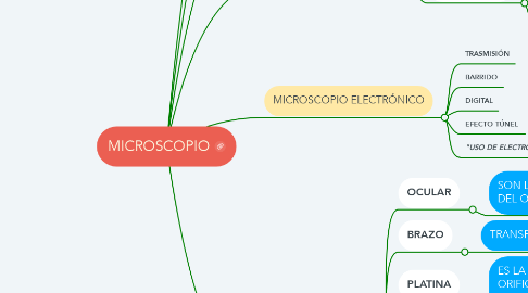 Mind Map: MICROSCOPIO