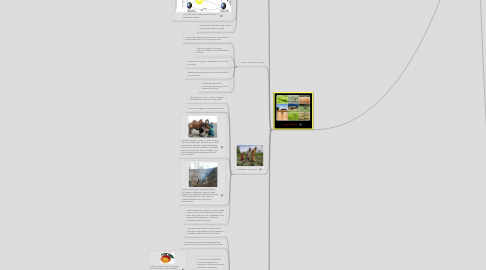 Mind Map: Physical Patterns In Geography