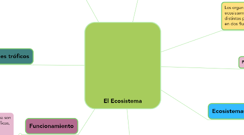 Mind Map: El Ecosistema