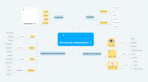 Mind Map: ESTILOS DE APRENDIZAJE